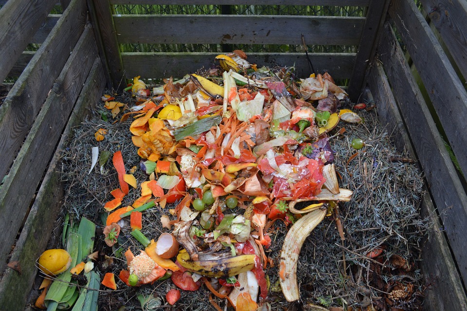 Kompostierer: So erhältst Du prima Erde aus organischem Abfall