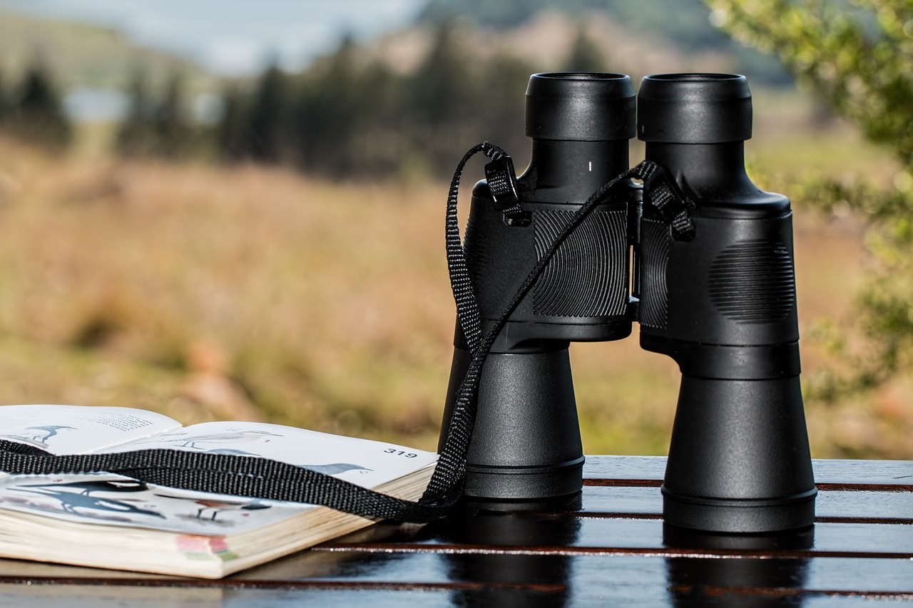 binoculars, birdwatching, spy glass